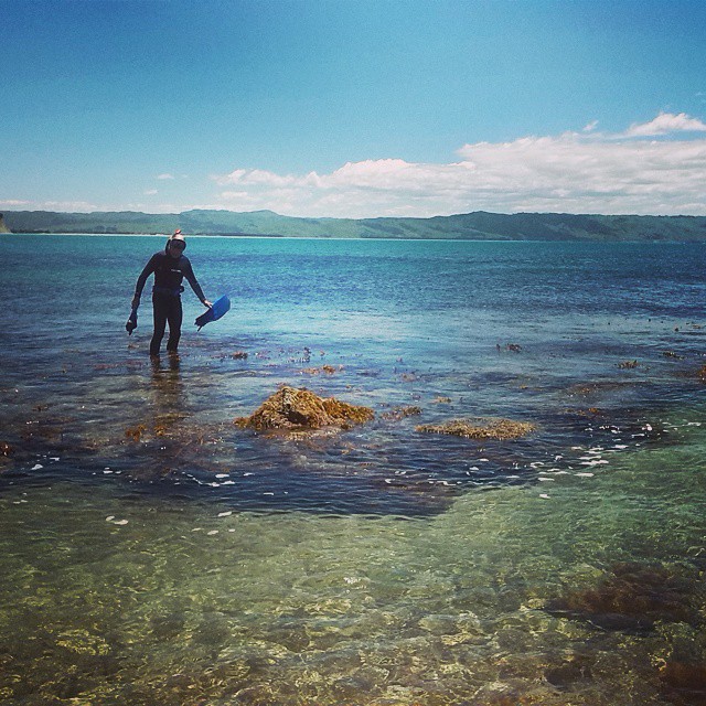 Grabbing some Paua in Mahia on the days I didn't cycle there