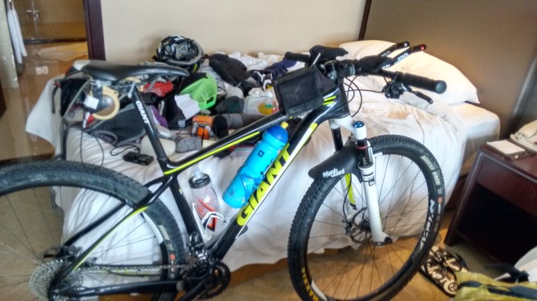 The horse saddled up for tomorrows race