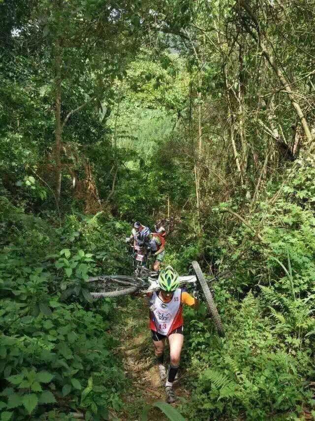 Bike Carry section through stinging nettle bushes